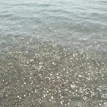 Apartment πεννυ καντια 1ος ν 2 Kandia