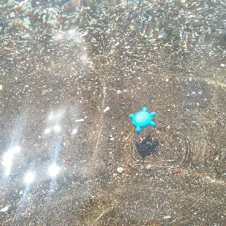 πεννυ καντια 1ος ν 2 Apartamento *