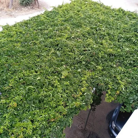 Apartmán πεννυ καντια 1ος ν 2