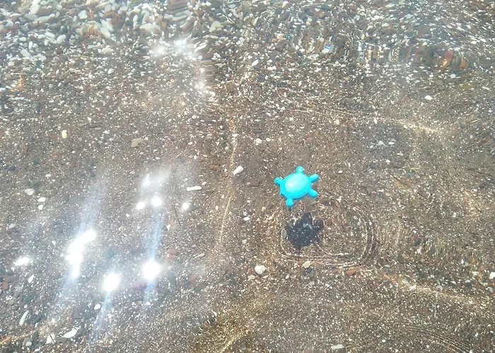 πεννυ καντια 1ος ν 2 Appartamento *